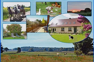 Schwerin Land, Ferienhof Winther