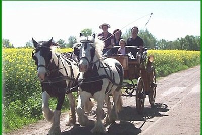 Schwerin Land, Ferienhof Winther