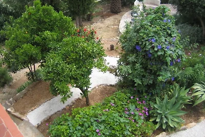 La Calina