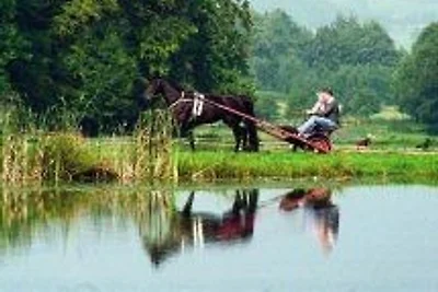 Ferien- u.Traberhof Rathjen