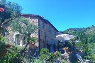 Toscana Paradiso Monte a Pescia