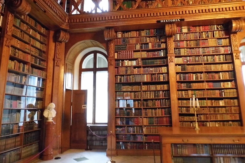 Bibliothek im Schloss