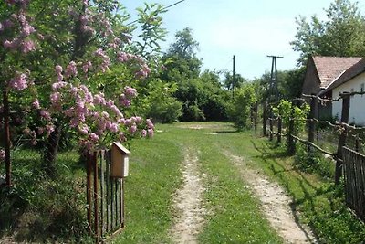 Holiday cottage Siggi, West-Hungary