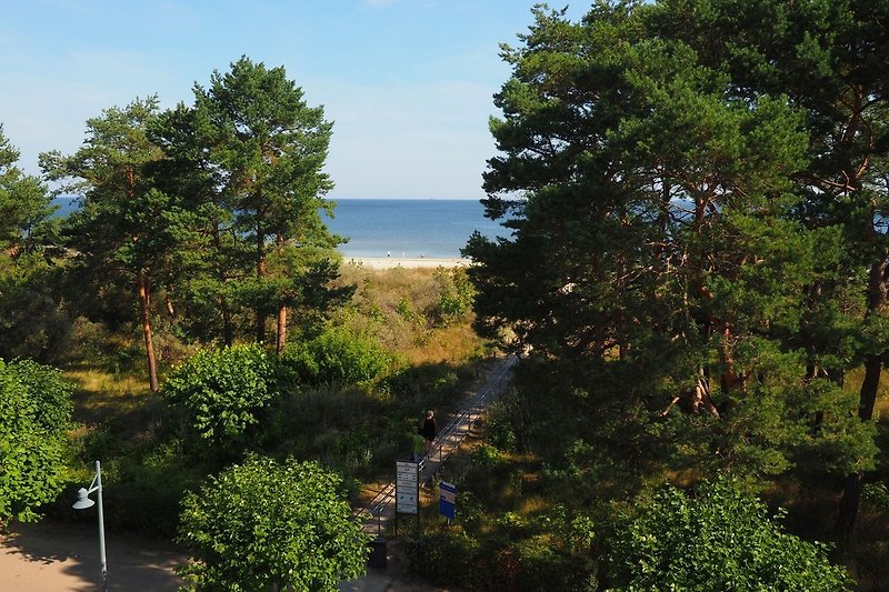 Blick auf die Promenade