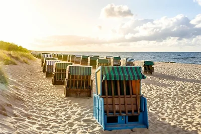 Sommerlicht Koserow 12