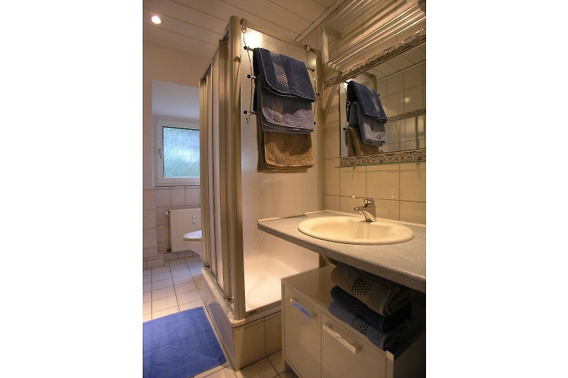 The bathroom with shower and toilet.