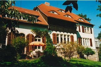 Ferienwohnung Dresden
