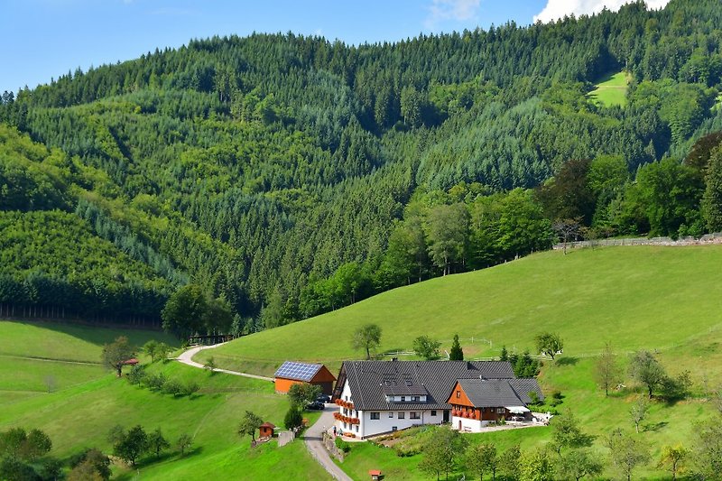 Ferienwohnungen Müllerbauernhof im Schwarzwald
