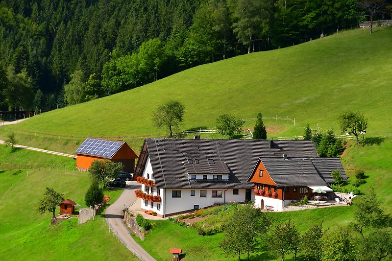 Ferienhäuser Müllerbauernhof im Schwarzwald