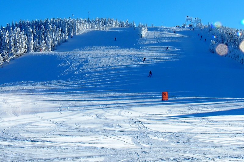 Entlang der Schwarzwaldhochstraße 950 m, Skiabfahrt und Langlauf möglich,
