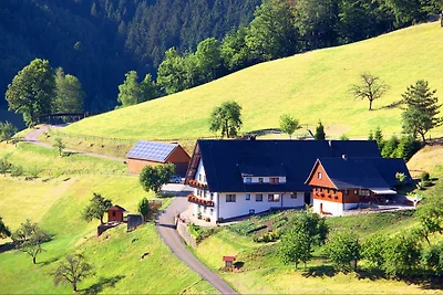 Vakantiehuis Müllerbauernhof