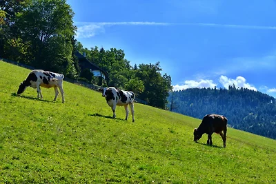 Vakantiehuis Müllerbauernhof