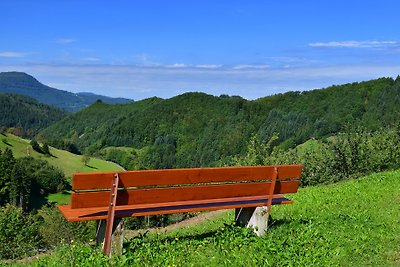 Ferienhaus -Schwarzwald,  Natur pur