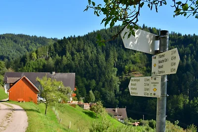 Vakantiehuis Müllerbauernhof