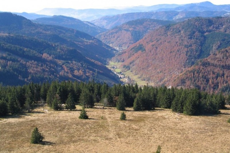 View of the Feldberg