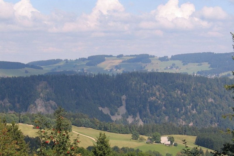 Schwarzwaldlandschaft