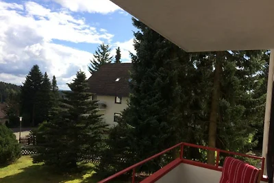 Ferienwohnungen Braunlage