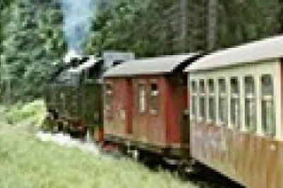 Harz Gruppenhaus bis 35 Pers.