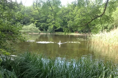 Villa am Wald bis 14 Personen