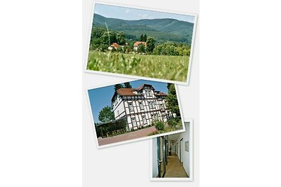 Apartment house in the Harz 