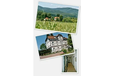 Harz Gruppenhaus bis 35 Pers.