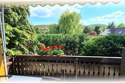 Gruppen-Ferienhaus mit Pool im Harz