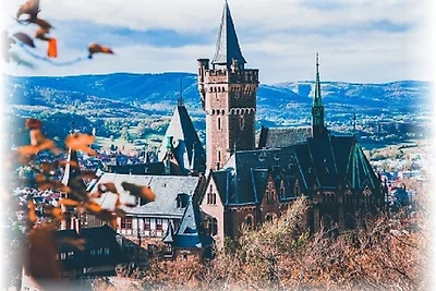 Stadtwohnung Wernigerode mit Kamin