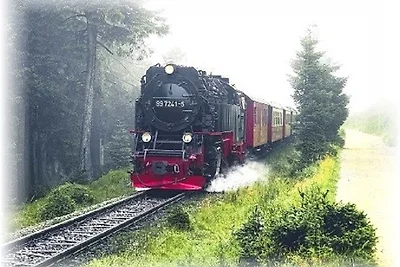 Stadtwohnung Wernigerode mit Kamin