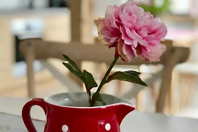 Gruppenhaus bis 12 Pers im Harz