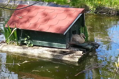 Bungalow mit Kamin bei Wernigerode