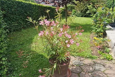 Bungalow con camino vicino a Wernigerode
