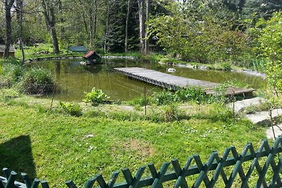 Bungalow met open haard bij Wernigerode