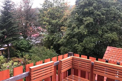 Stadtwohnung Wernigerode mit Kamin