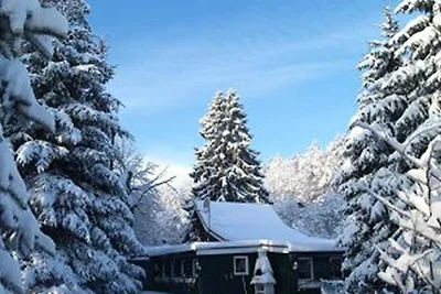 Ferienhaus / Harz Wernigerode