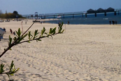 strandnahe Fewo Kajüte mit Balkon