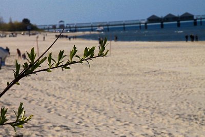 apartamento Koje frente a la playa con balcón