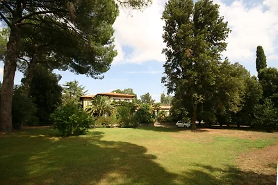 Zinzalloro