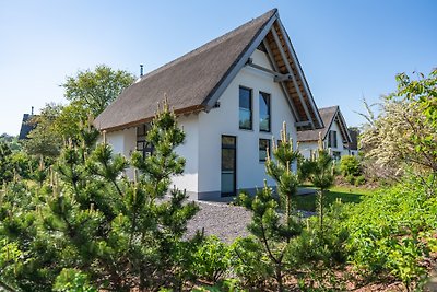 Ferienhaus "Seagull"  Karlshagen