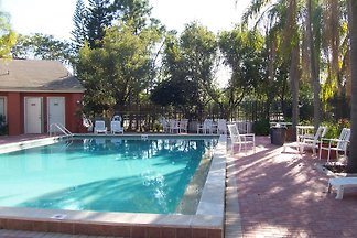 Oasis in the city