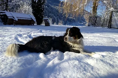 Pichlerhof Chienes-Alto Adige Dolomiti