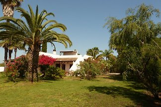 Casa Palmito 614/AL