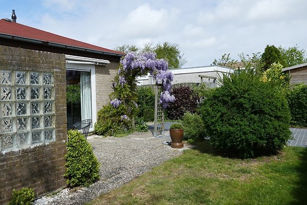 Ferienhaus Horizon 8 in Renesse in Renesse - Herr R. Zoppke