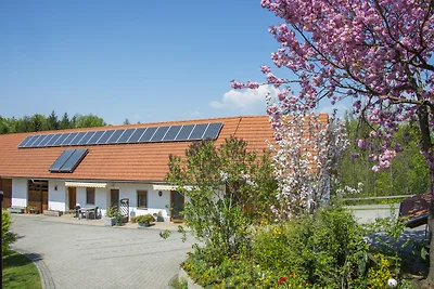 Ferienwohnung Pachler