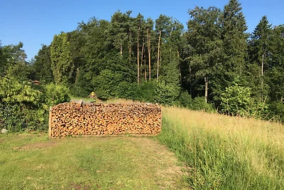 Ferienwohnung Pachler