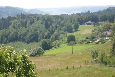 Ferienwohnung Pachler