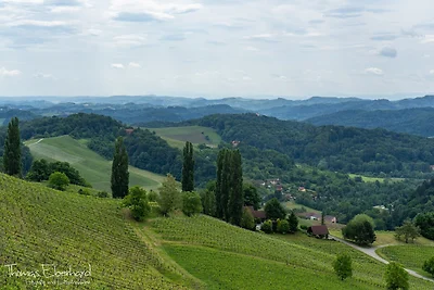 Ferienwohnung Pachler