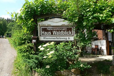 Piso Waldblick, cocina, D/Wc
