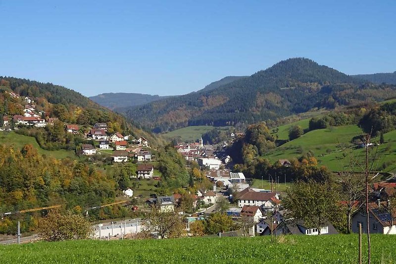 Bad Peterstal - Griesbach