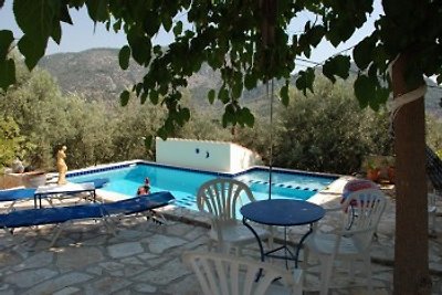 Mandi Apartment