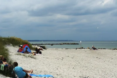 Case vacanza nel Probstei